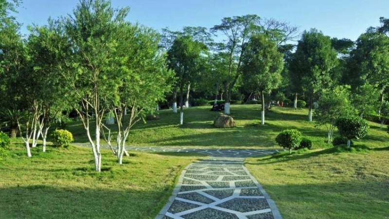 全球总决赛举办地是怎么选出来的？一文看懂选址逻辑与城市规律